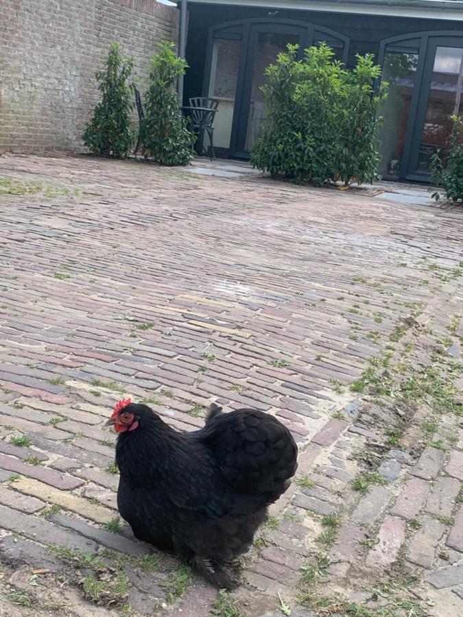 Het Dijkje Utrecht Apartment Bagian luar foto